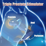 Anal Sex Toy Prostate Massager Vibrator With Remote Control, Adult Sex Toys And Games, Butterfly Vibrators For Perineum & Prostate Massage, Rotating & Vibrating Butt Dildo Anal Plug Male Prostate Toy