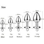 Pull-Ring Metal Backyard Anal Plug Sex Toys Alternative Toys Personal Sex Massager Silver