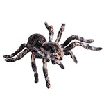 Realistic Animal Figures - Spider Action Model Lifelike Insect Toy Figures - Educational Learning Toys Birthday Set For Boys Girls Kids Toddlers (Giant Whiteknee)
