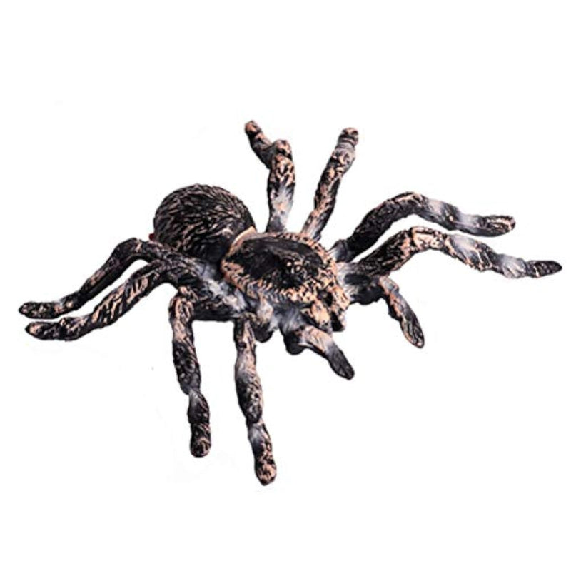 Realistic Animal Figures - Spider Action Model Lifelike Insect Toy Figures - Educational Learning Toys Birthday Set For Boys Girls Kids Toddlers (Giant Whiteknee)
