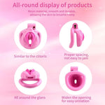 Male Chastity Device with 4 Adjustable Rings and Invisible Lock for Men's Abstinence and Sissy Penis Exercise