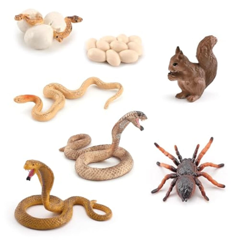 7Pcs Mini Cobra Animals Figures Tarantula Squirrel Snake Animal Toys Cobra Life Cycle Plastic Reptile And Amphibian Figurines Diorama Supplies Birthday Party Favors Cake Topper For Boys Girls Kid