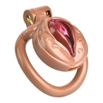 Chastity Cage Fake Women Vagina Penis Cage Chastity Cock Cage Sissy Chastity Device Lock With 4 Rings Sm Male Bondage Sex Toys (Skin Color)