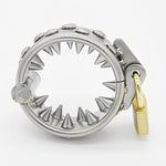 Heavy Stainless Steel Cock Ring Scrotum Ball Stretcher Pendant Spike Clamps Bdsm Sex Toy?A 20Mm?