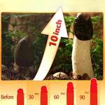 Penisgrowth Men'S Enhancement Cream - Increase Length & Girth, Longer Thicker Dick, Penile Health Cream For Size & Extender