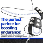 Leather Adjustable Testicle Restraint Chastity Cage with Chain for CBT and BDSM Play