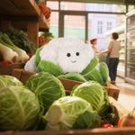 Delicious Cauliflower Stuffed Animals For Kids, Soft Cute Plush Toys For Baby Girl And Boy, 4 Inches