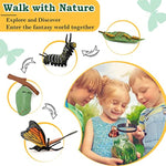 Life Cycle Learning Toys For Kids: Life Science Education Kits With Butterfly, Frog, Chicken, Mantis, Bee, Plants - 25 Pieces Animal Figurines Montessori Toys For Children Age 3 4 5 6 7 8+