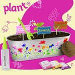 Paint & Plant Flower Growing Kit for Kids - Fun Gardening Kits - Gift Ideas