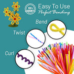 1000 Pcs Multicolor Pipe Cleaners, 10 Colors, 6mm x 12 Inch Chenille Stems