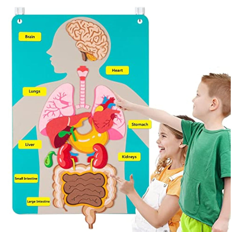 Teaching Body Parts Felt Board Stories For Toddlers, Arts Crafts Toys For Kids Sensory Activities Teacher Daycare Supplies