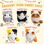 Beginner-Friendly Crochet Kit for Feline Amigurumi Lovers, 5 Cat Crochet Patterns Included