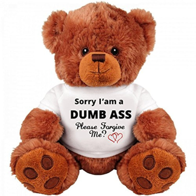 Sorry And Forgive Me Gift: Funny Teddy Bear Couple Gift: Medium Teddy Bear Stuffed Animal