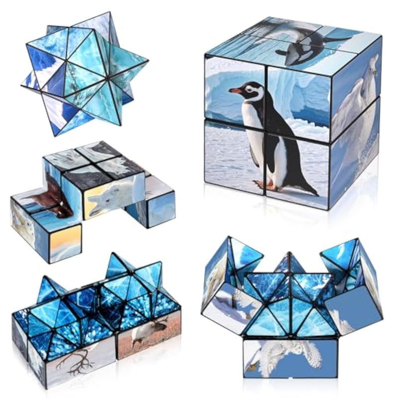 2 In 1 Magic Cube Set, Fidget Toy For Kids Adults, Yoshimoto Cube For Ages 8-12, Arctic/Antarctic Animals Puzzle Cube Fun Toy For Boys Girls (Polar Series)