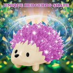 Crystal Growing Kit for Kids, 4-Color Hedgehog STEM Science Experiment Ages 8-12