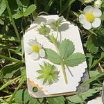 Mini Metal Flower Press Kit, Pocket-Sized Plant Preservation Craft Tool