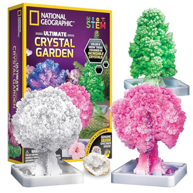 National Geographic Crystal Growing Craft Kit for a Colorful Crystal Garden
