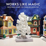 National Geographic Crystal Growing Craft Kit for a Colorful Crystal Garden