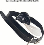 Stainless Steel U-Shaped Urinal Gag – Urethral Plug & Piss Mouth Fetish Toy for BDSM (Black)