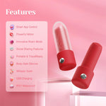 APP Remote Control Lipstick Bullet Vibrator - 10 Vibration Modes