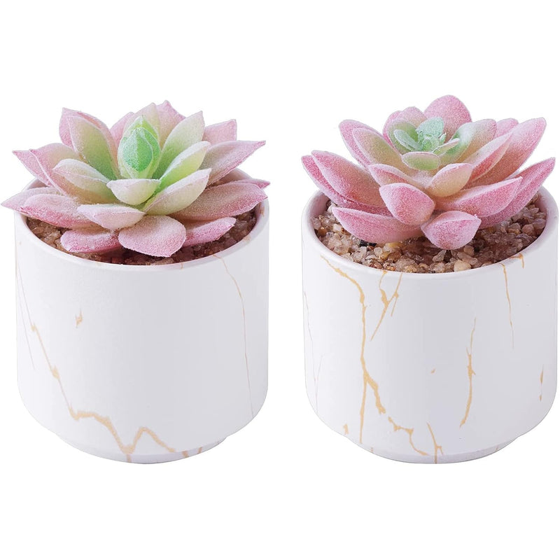 Succulents Plants Artificial, Mini Fake Succulents In White Ceramic Pots For D