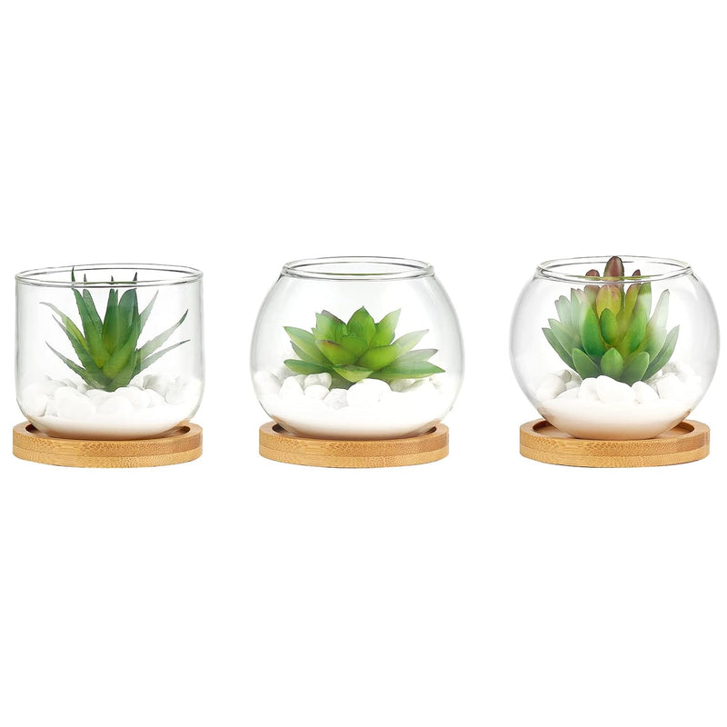 Artificial Succulent In Clear Glass Pot, 3 Mini Potted Fake Plants For Women O