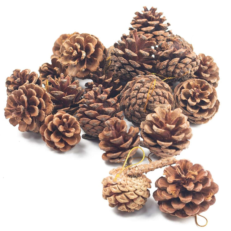 Natural Pine Cones, Christmas Rustic Pinecones Fall Garland Halloween Thanksgi