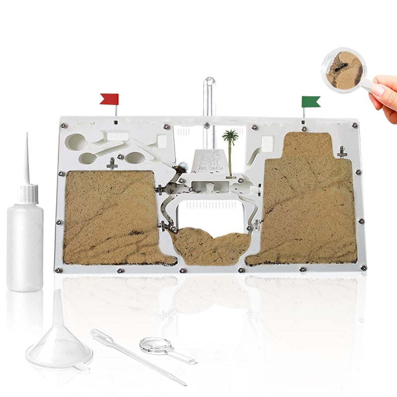 Ant Farm Castle, Ant Farms With Yellow Sand And Tool Kit, Ant Colony Observ