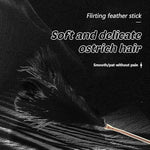Sm Feather Tickler Black Soft Feather Tickler With Detachable Metal Handle Role Play Body Teasing Adult Toy