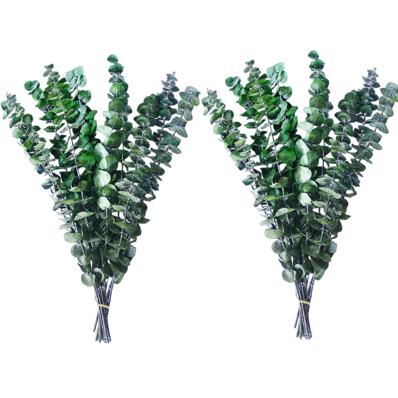 20Pcs Preserved Eucalyptus, 17" Natural Fresh Green Eucalyptus Plant, Real Euc