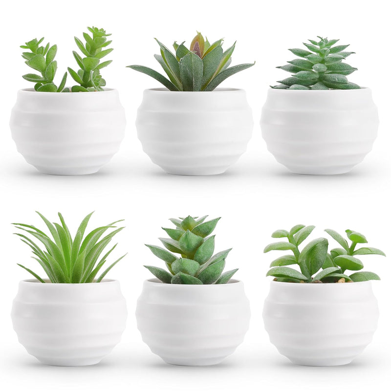 Set Of 6 Succulents Plants Artificial In Pots Small Fake Plants For Bedroom Ae