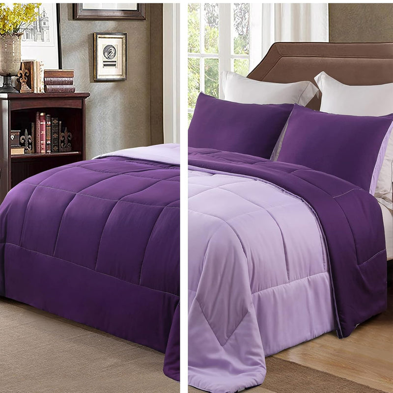 Lightweight Reversible 3-Piece Comforter Set All Seasons, Down Alternative Com