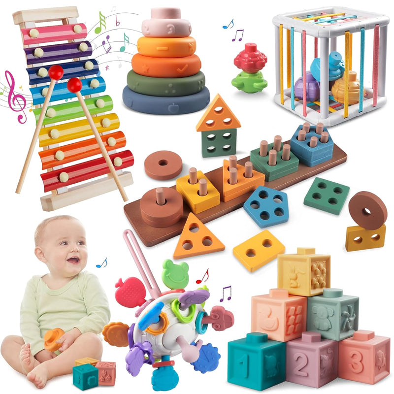 Montessori Baby Toys For 1+ Year Old Sorting Stacking Learning Toys 6 To 12