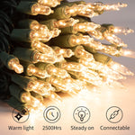 Clear Christmas String Lights 100 Count 25 Feet Incandescent Bulb Mini Lights For Indoor Xmas Tree Garland Birthday Wedding Party Festival Decoration, Green Wire