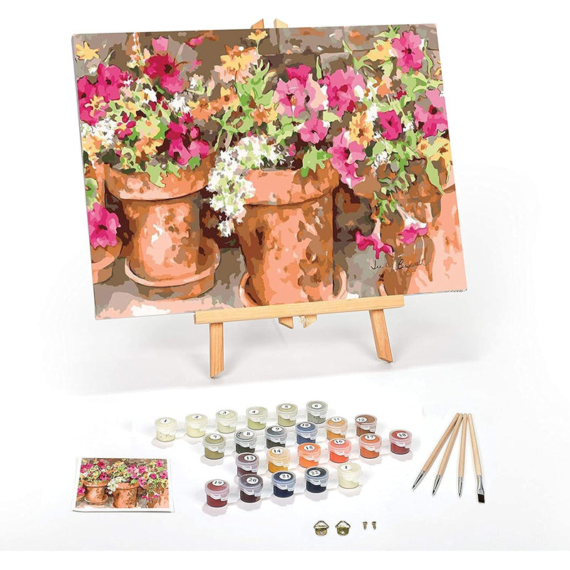 Adult Paint by Numbers Kit 16x20 Framed Colorful Artwork