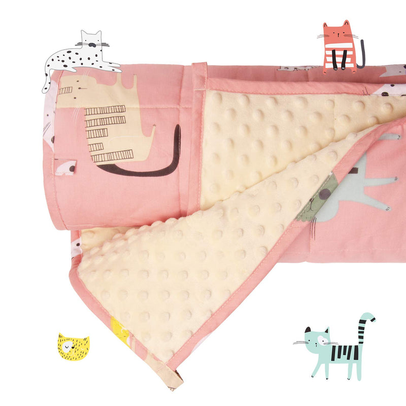 3 Lbs Weighted Blanket For Kids, Minky Fleece And 100% Cotton Throw Blanket Wi
