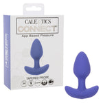 Connect Tapered Probe, App Controlled Anal Vibrator, 9-Function Vibrating Butt Plug, Waterproof Silicone Purple Se-0001-40-3