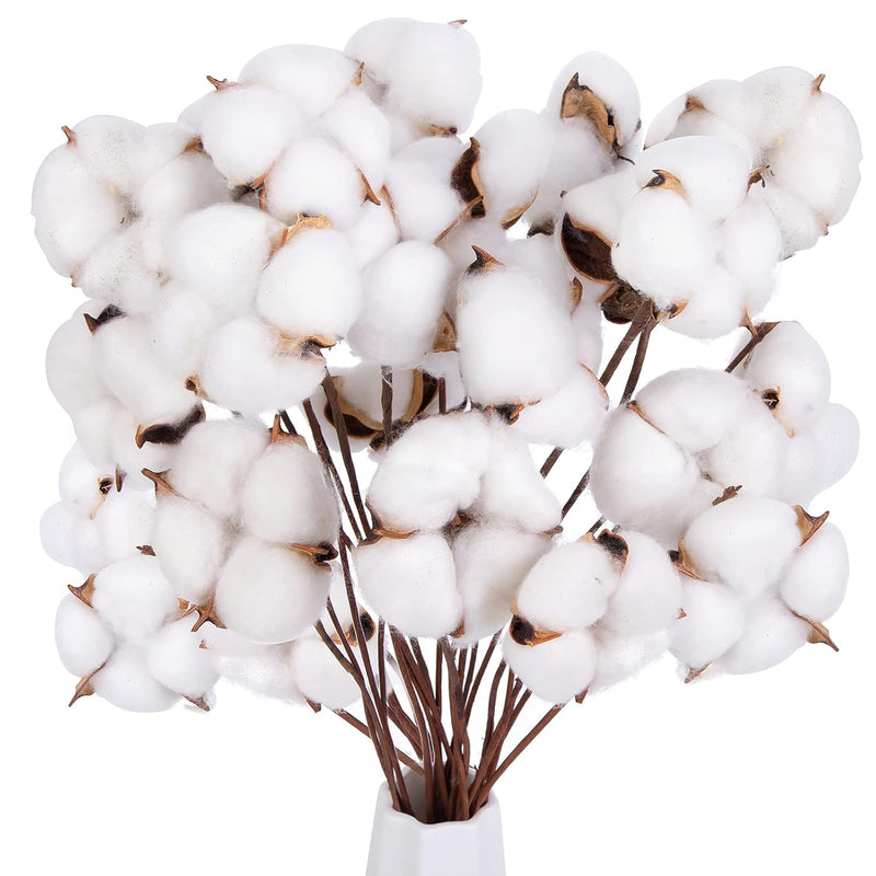 30Pcs Cotton Stems, 15" Natural Dried Cotton 120 Cotton Balls Cotton Sprigs Co