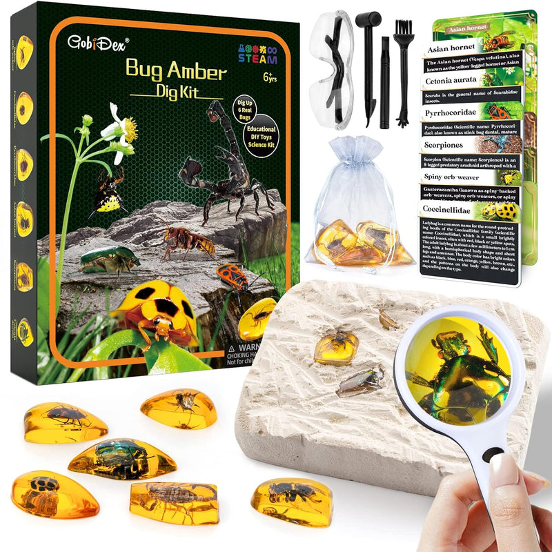 GobiDex Amber Dig Kit-Artificial Insect Resin, Excavate 6 Insects Specimens