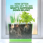 Root Viewer Growing Kit for Kids with Seeds & Soil