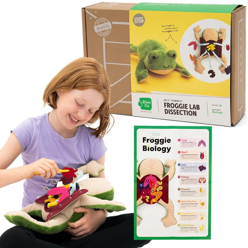 Froggie Lab Dissection, Frog Plush Toy Anatomy Learning Toy & Stuffed Anima