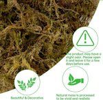 17.6 OZ Artificial Moss for Potted Plants,Natural Fake Moss Grass Fresh Green Moss for Hamsters,Craft Moss and Greenery Bulk for Garden Wedding Decoration