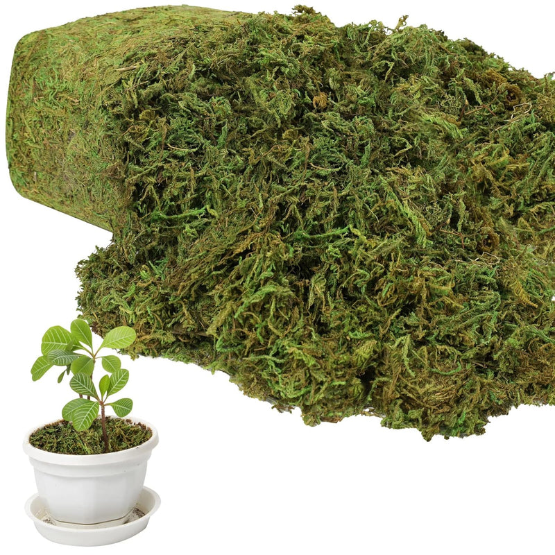 17.6 Oz Large Capacity Artificial Moss For Potted Plants,Natural Artificial Mo