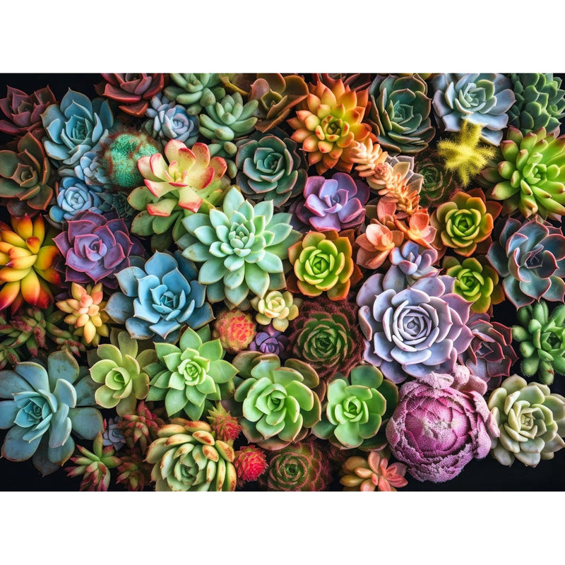 Succulent Symphony: Best 1000 Piece Jigsaw Puzzle For Adults Premium Qualit