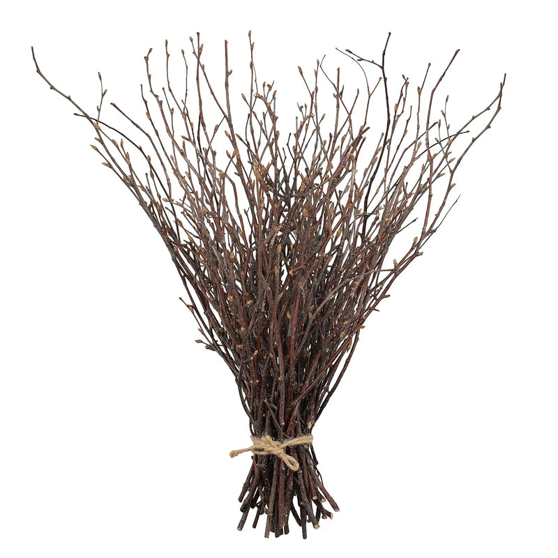 50Pcs Birch Twigs – 17 Inch Natural Dried Plants Decorative Birch Branches For