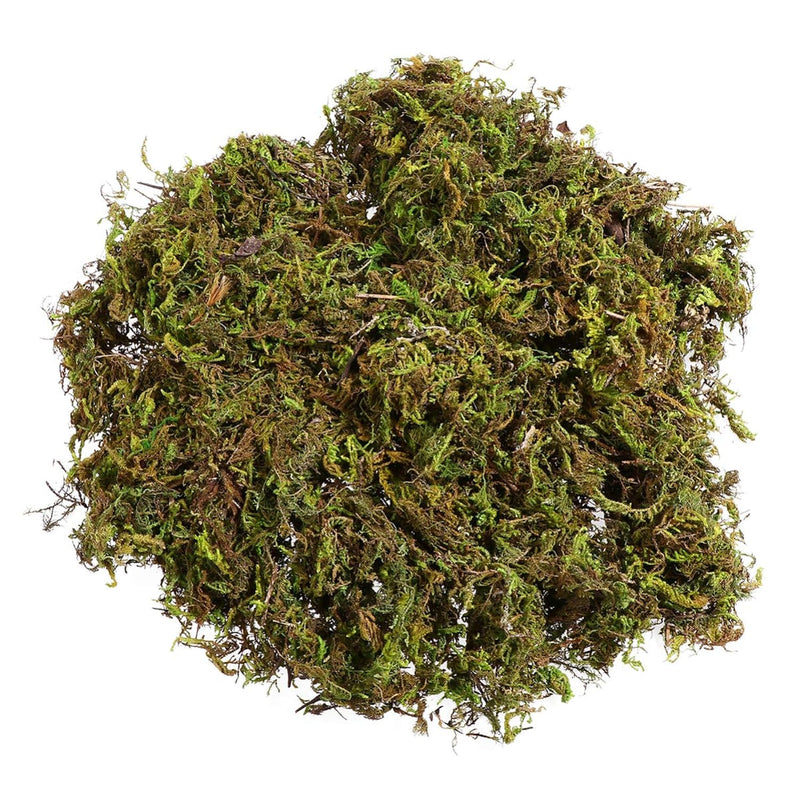Artificial Moss : 60G Artificial Green Fake Moss For Crafts Decorative Artific