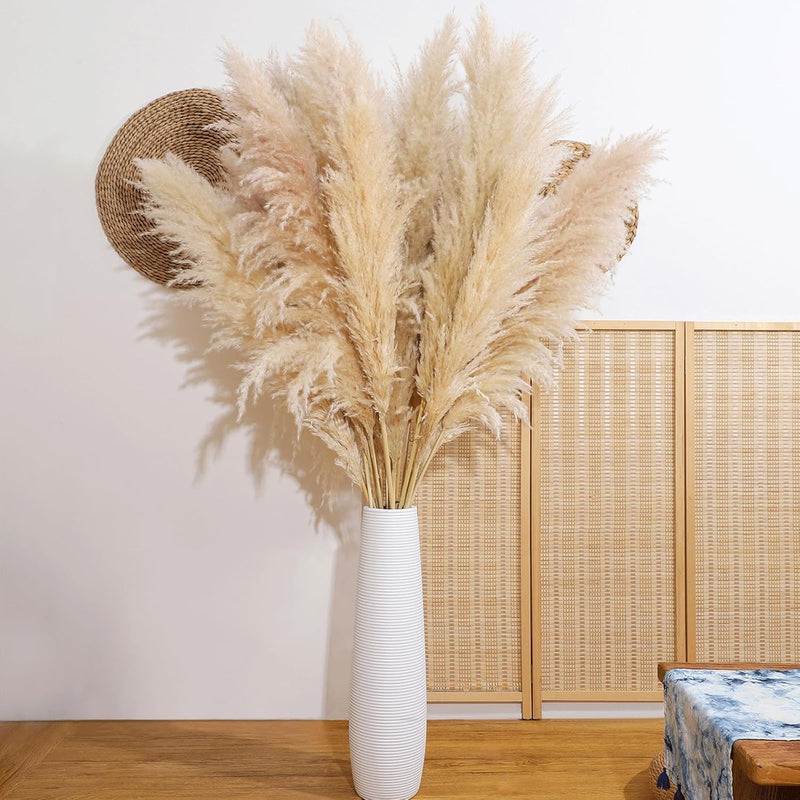 Pampas Grass Decor Tall, 47" Inch 10 Stems Natural Pompas Grass, Dried Pampas