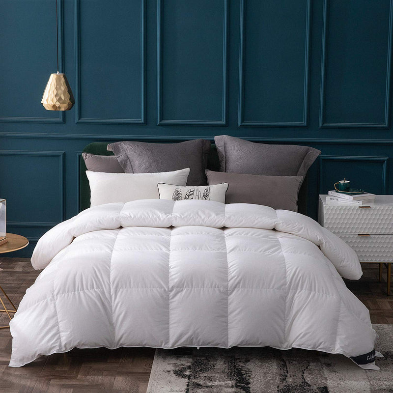Goose Down Comforter Queen Size All Season,400 Thread Count Ultra Soft Noisele