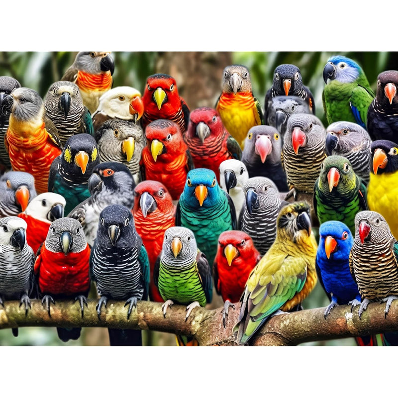 Kaleidoscope Of Feathers: Premium 1000 Piece Jigsaw Puzzle For Adults By Un