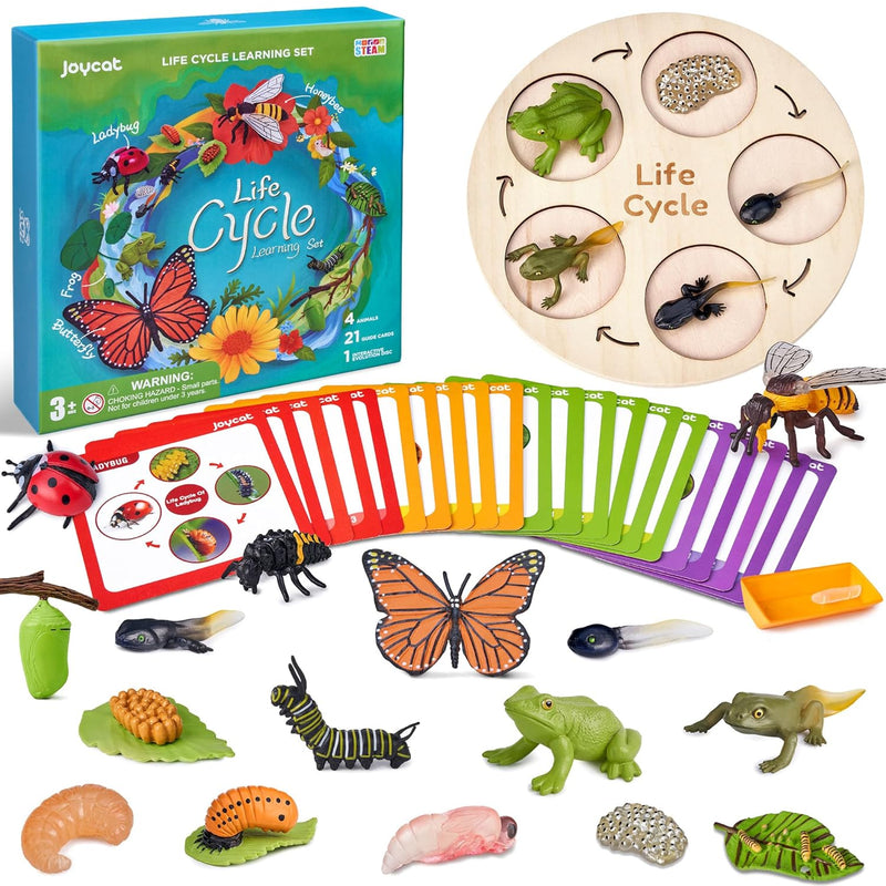 Montessori Life Cycle Learning Education Toys, Insect Caterpillar to Butter